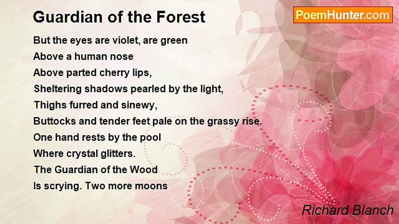 Richard Blanch - Guardian of the Forest