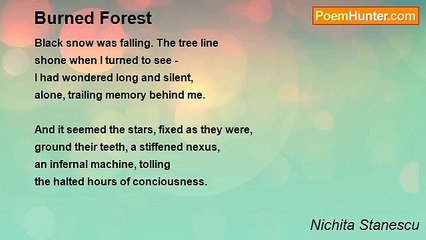 Nichita Stanescu - Burned Forest
