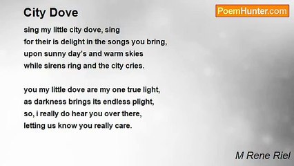 M Rene Riel - City Dove