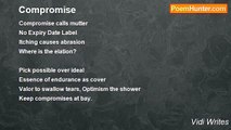 Vidi Writes - Compromise