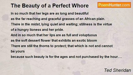 Ted Sheridan - The Beauty of a Perfect Whore