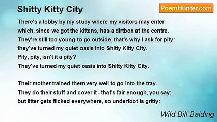 Wild Bill Balding - Shitty Kitty City
