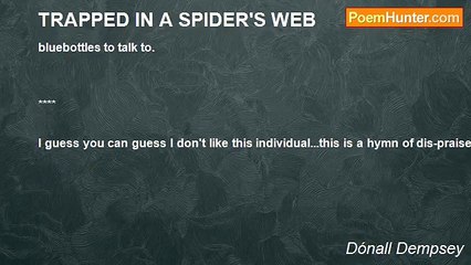 Dónall Dempsey - TRAPPED IN A SPIDER'S WEB