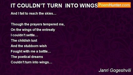 Janri Gogeshvili - IT COULDN’T TURN  INTO WINGS…