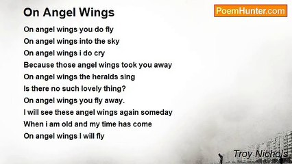 Troy Nichols - On Angel Wings