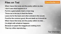 Ted Sheridan - Flies on Ted