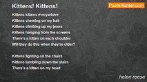 helen reese - Kittens! Kittens!