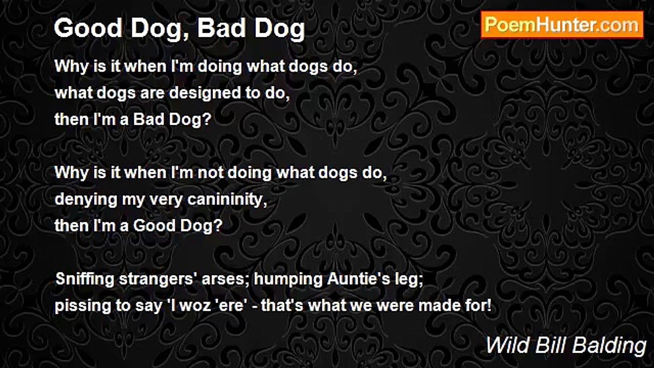 Wild Bill Balding - Good Dog, Bad Dog