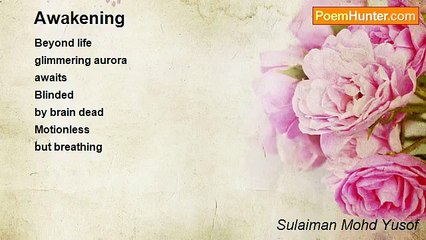 Sulaiman Mohd Yusof - Awakening