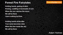 Adam Holmes - Forest Fire Fairytales