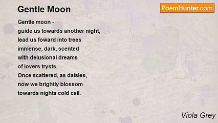 Viola Grey - Gentle Moon