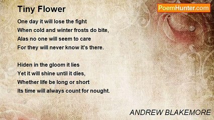 ANDREW BLAKEMORE - Tiny Flower