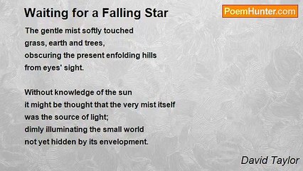 David Taylor - Waiting for a Falling Star