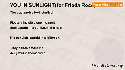 Dónall Dempsey - YOU IN SUNLIGHT(for Frieda Rose)