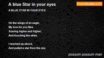 possum possum man - A blue Star in your eyes