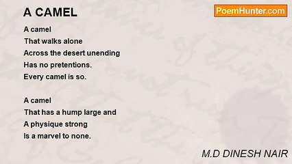 M.D DINESH NAIR - A CAMEL