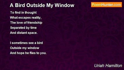 Uriah Hamilton - A Bird Outside My Window