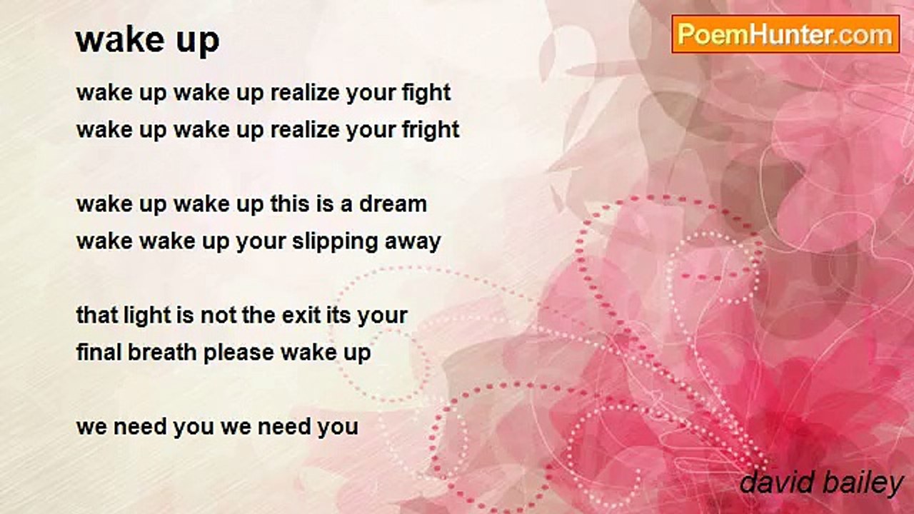 david bailey - wake up