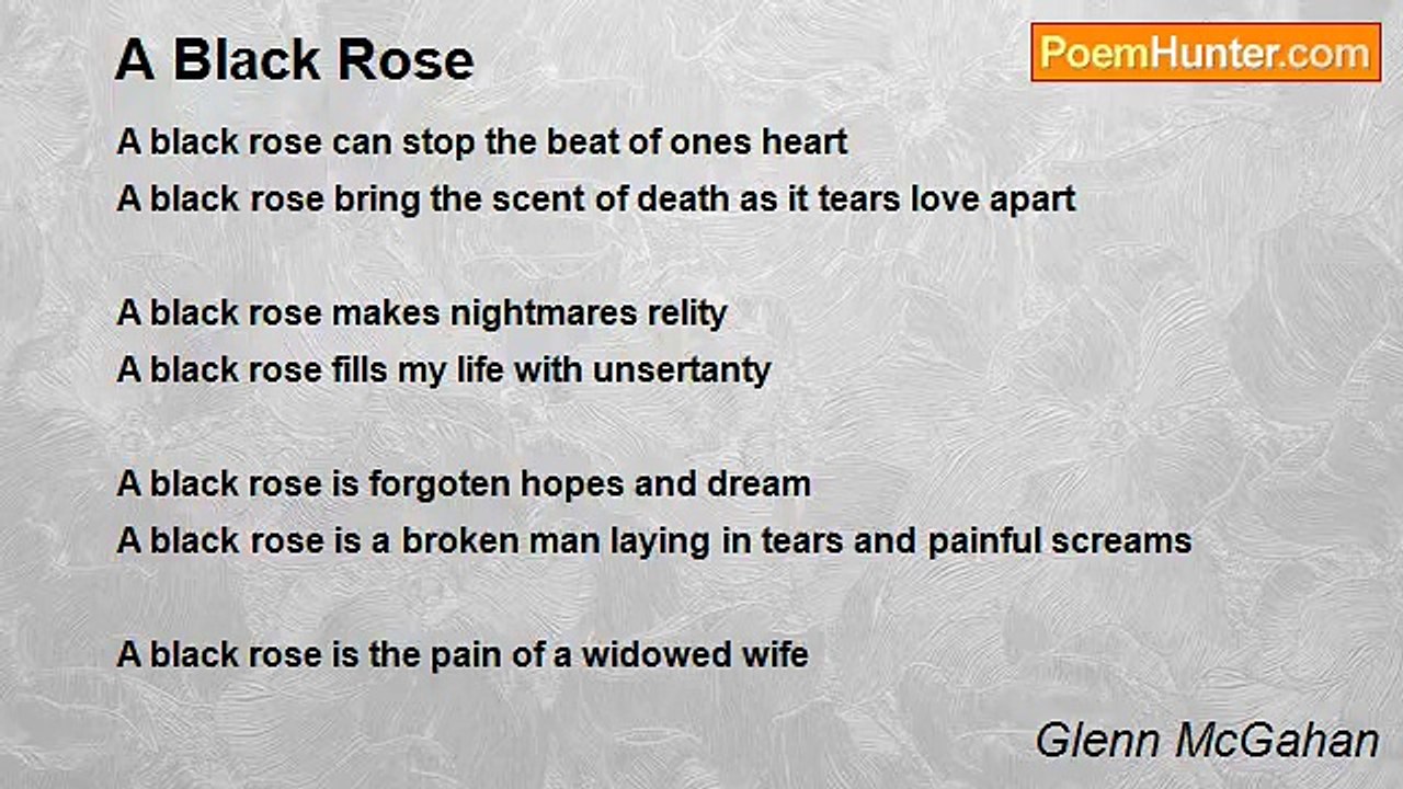 Glenn McGahan - A Black Rose