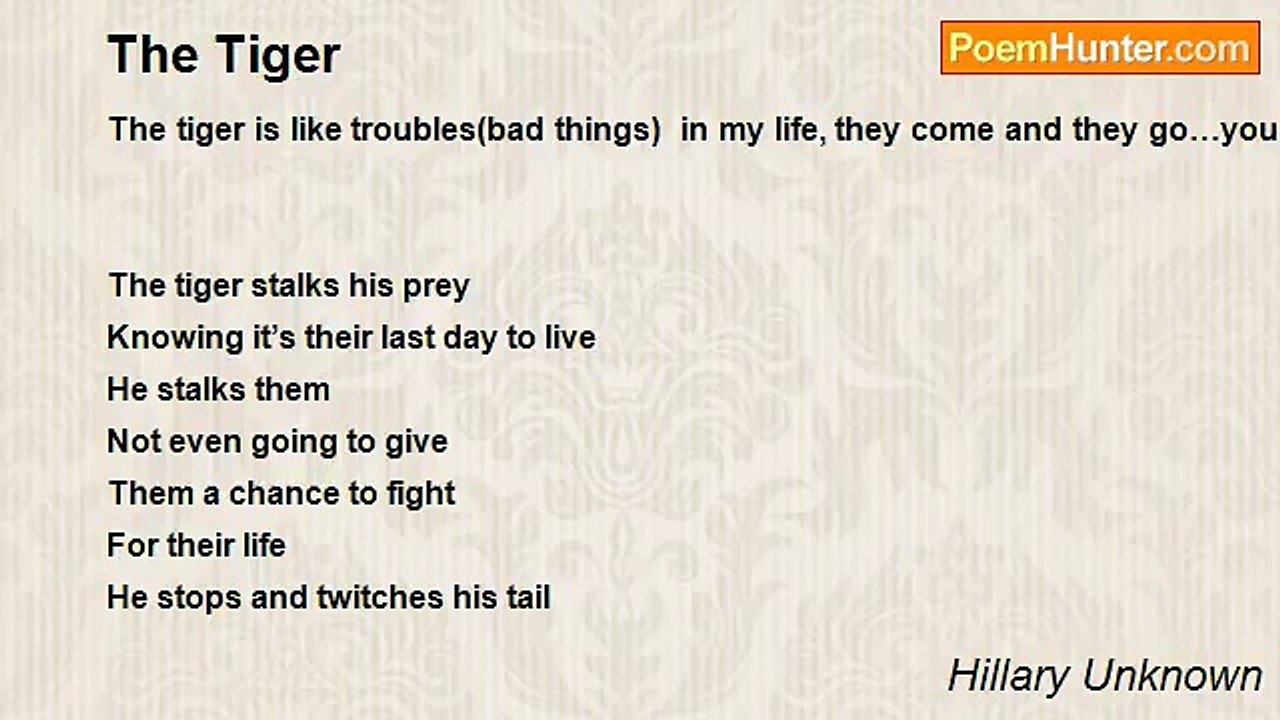 Hillary Unknown - The Tiger