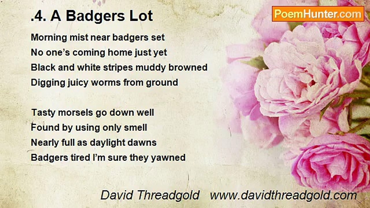 David Threadgold   www.davidthreadgold.com - .4. A Badgers Lot