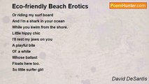 David DeSantis - Eco-friendly Beach Erotics