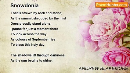 ANDREW BLAKEMORE - Snowdonia