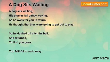 Jinx Natta - A Dog Sits Waiting