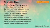 Pamela O. Rucker - Tiny Little Birds