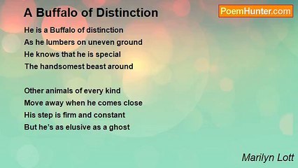 Marilyn Lott - A Buffalo of Distinction