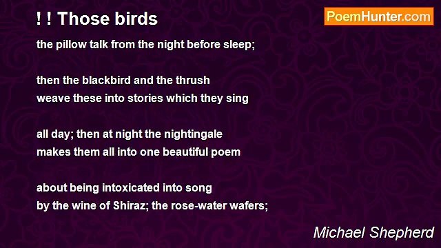 Michael Shepherd - ! ! Those birds
