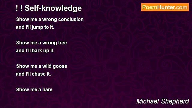 Michael Shepherd - ! ! Self-knowledge