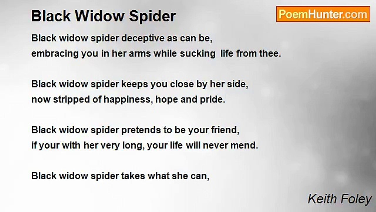 Keith Foley - Black Widow Spider