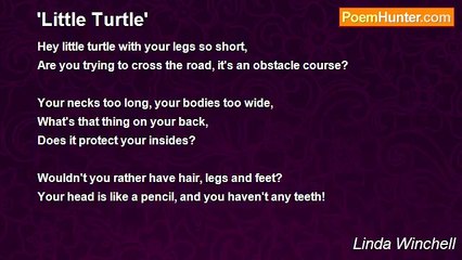 Linda Winchell - 'Little Turtle'