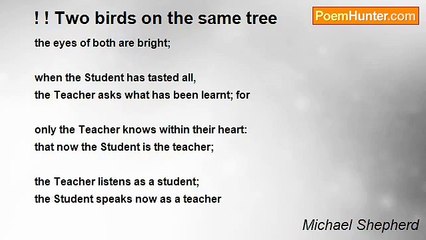Michael Shepherd - ! ! Two birds on the same tree