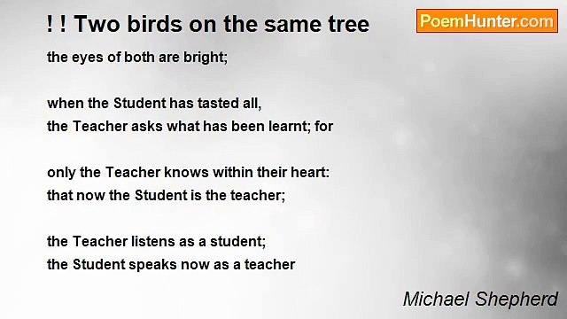 Michael Shepherd - ! ! Two birds on the same tree