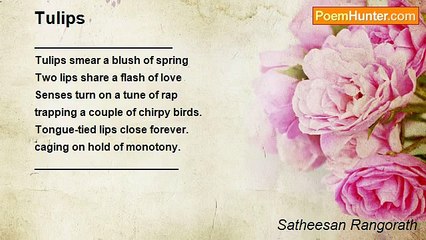 Satheesan Rangorath - Tulips