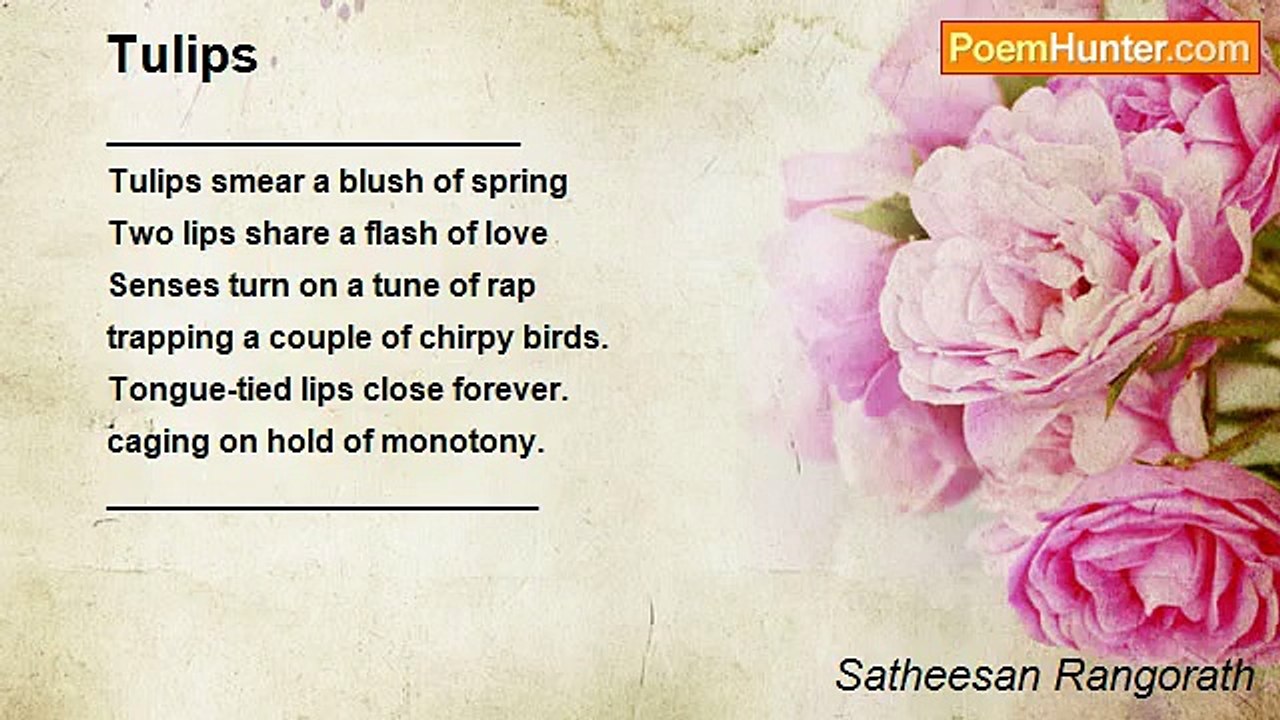 Satheesan Rangorath - Tulips