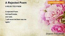 Shalom Freedman - A Rejected Poem