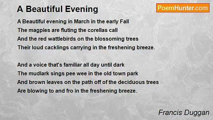 Francis Duggan - A Beautiful Evening