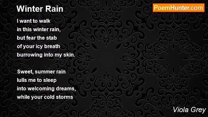 Viola Grey - Winter Rain