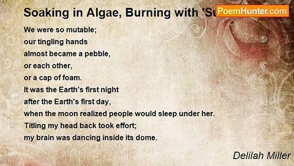 Delilah Miller - Soaking in Algae, Burning with 'Sunset Orange'