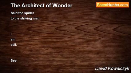 David Kowalczyk - The Architect of Wonder