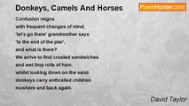 David Taylor - Donkeys, Camels And Horses
