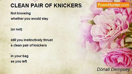 Dónall Dempsey - CLEAN PAIR OF KNICKERS