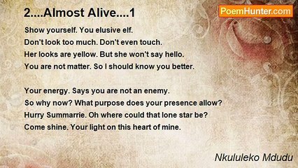 Nkululeko Mdudu - 2....Almost Alive....1