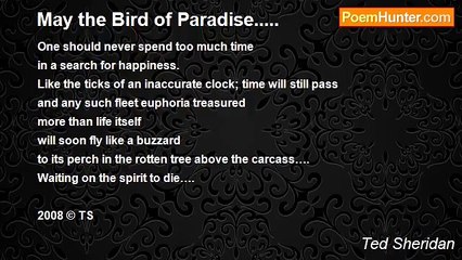 Ted Sheridan - May the Bird of Paradise.....