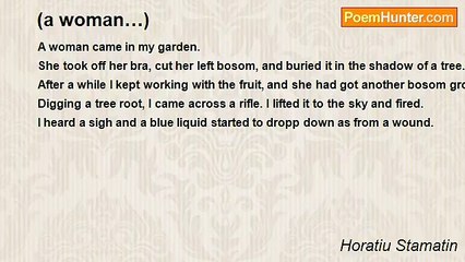 Horatiu Stamatin - (a woman…)