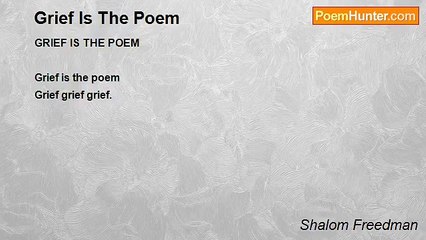 Shalom Freedman - Grief Is The Poem