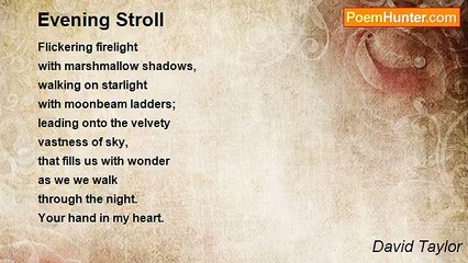 David Taylor - Evening Stroll